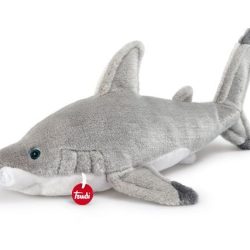 Requin trudi